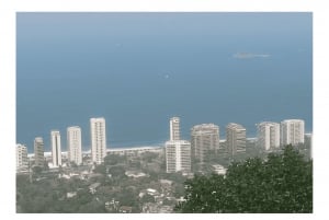 Floresta da Tijuca