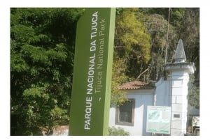 Floresta da Tijuca