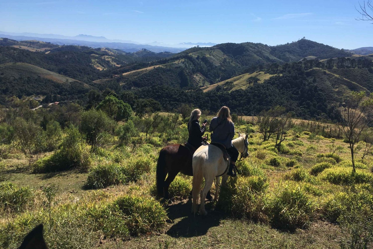 From Paraty: Private Horse-Riding Experience, Picnic, Driver