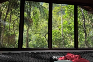From Rio: 4-Day Eco Tourism Retreat with Transfers & Cabins