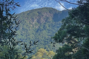 From Rio: 4-Day Eco Tourism Retreat with Transfers & Cabins