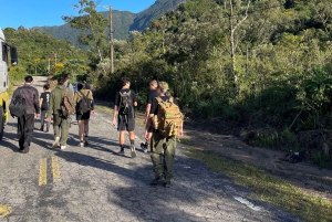 From Rio: 4-Day Eco Tourism Retreat with Transfers & Cabins