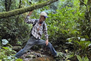 From Rio: 4-Day Eco Tourism Retreat with Transfers & Cabins