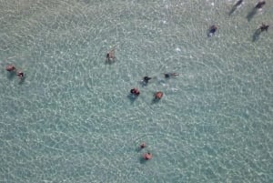 From Rio: Arraial do Cabo Day Trip with Boat Tour