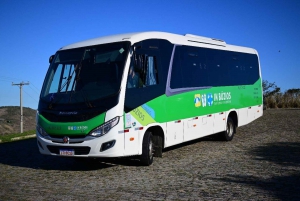 From Rio: Arraial do Cabo Day Trip with Boat Tour