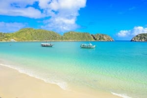 From Rio: Arraial do Cabo Day Trip with Boat Tour