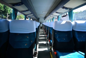 From Rio: Arraial do Cabo Day Trip with Boat Tour