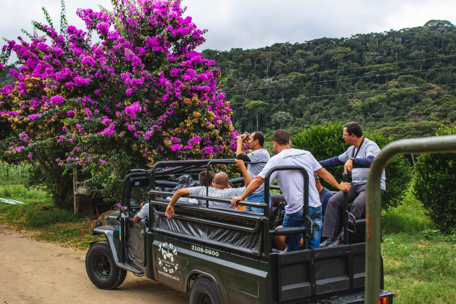 From Rio: Brejal Countryside Farm and Nature Day Trip