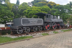 From Rio de Janeiro: 1-Day Private Tour of Coffee Valley