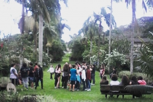 From Rio de Janeiro: 1-Day Private Tour of Coffee Valley