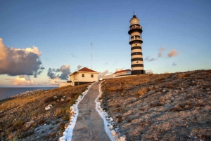 From Rio de Janeiro: 5-Day Bahia and Abrolhos Islands Tour