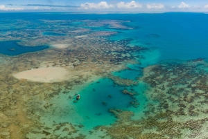 From Rio de Janeiro: 5-Day Bahia and Abrolhos Islands Tour