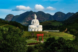 From Rio de Janeiro: 5-Day Bahia and Abrolhos Islands Tour