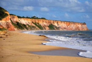 From Rio de Janeiro: 5-Day Bahia and Abrolhos Islands Tour