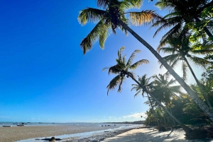 From Rio de Janeiro: 5-Day Bahia and Abrolhos Islands Tour