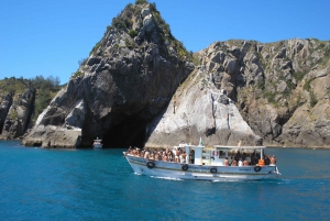 From Rio de Janeiro: Arraial do Cabo Tour with Lunch