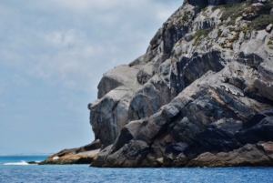 From Rio de Janeiro: Arraial do Cabo Tour with Lunch