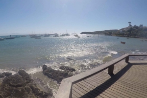 From Rio de Janeiro: Búzios Full-Day Boat Tour