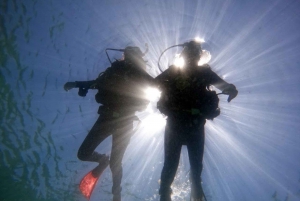 from Rio de Janeiro: Diving in Buzios