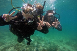 from Rio de Janeiro: Diving in Buzios