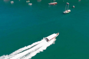 From Rio de Janeiro:Private Transfer to Ilha Grande, Abraão.