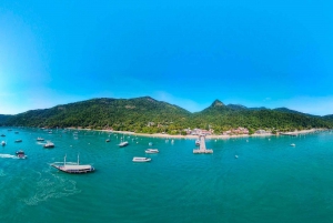 From Rio de Janeiro: Vila do Abraao Roundtrip Transfer