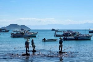 From Rio de Janeiro: Tour discovers Búzios in Buggy