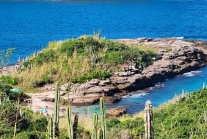 From Rio de Janeiro: Tour discovers Búzios in Buggy