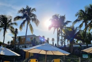 From Rio de Janeiro: Tour discovers Búzios in Buggy