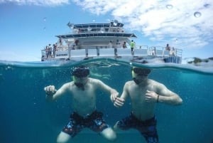 From Rio: Full Day in Búzios with Catamaran Tour and Lunch