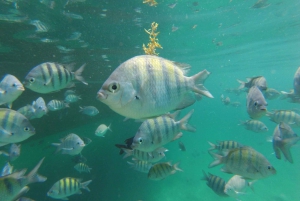 From Rio: The best of Ilha Grande and Angra dos Reis