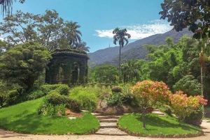 Green Rio: Guided Tour of Botanical Garden and Lage Park