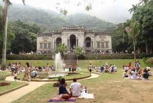 Green Rio: Guided Tour of Botanical Garden and Lage Park