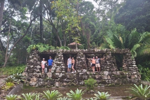 Green Rio: Guided Tour of Botanical Garden and Lage Park