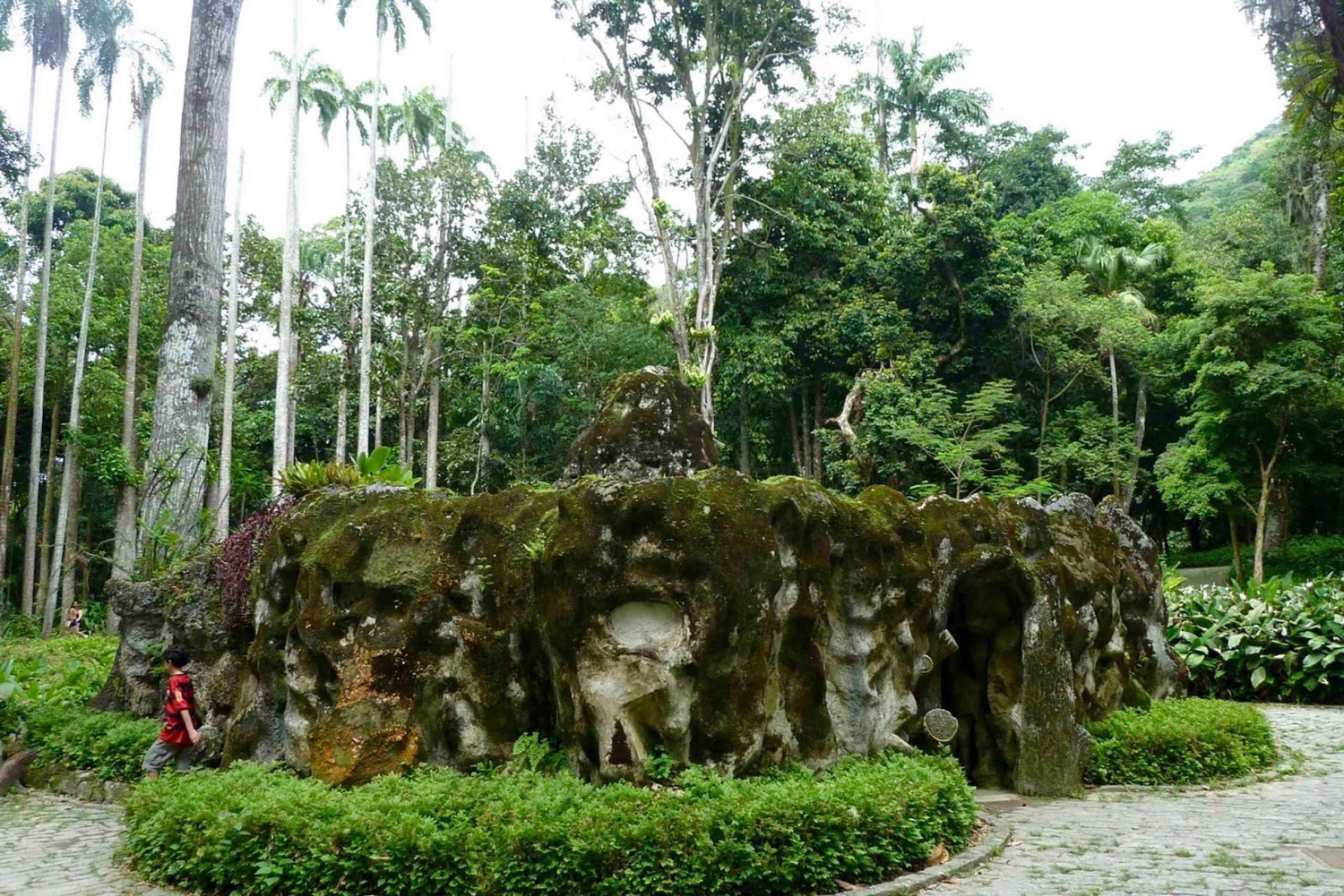 Guided Tour Botanical Garden & Lage Park in the Heart of Rio