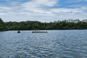 Ilha Gigoia and Santa Teresa: a guided tour of Rio's hidden treasures.