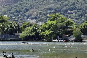 Ilha Gigoia and Santa Teresa: a guided tour of Rio's hidden treasures.
