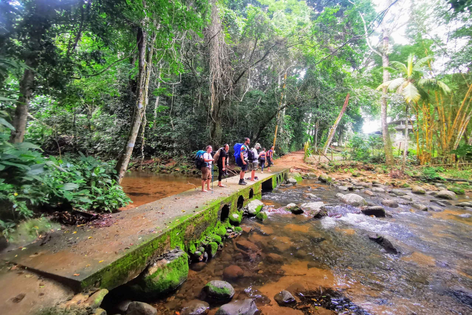 Ilha Grande: Private Hiking with Forest, Beaches & Waterfall