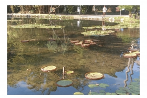 Jardim Botânico do Rio de Janeiro