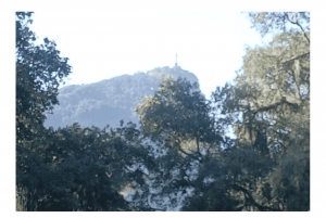 Jardim Botânico do Rio de Janeiro