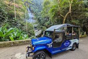 Jeep'n'Culture: Rocinha Favela and Tijuca Rainforest Tour