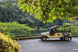 Jeep'n'Culture: Rocinha Favela and Tijuca Rainforest Tour