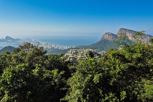 Jeep'n'Culture: Rocinha Favela and Tijuca Rainforest Tour