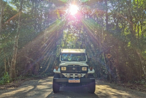 Jeep'n'Culture: Rocinha Favela and Tijuca Rainforest Tour