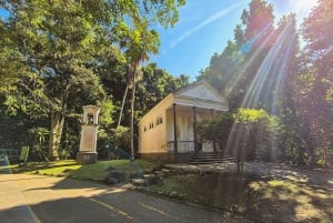 Jeep'n'Green: Rio Botanical Garden & Tijuca Rainforest Tour