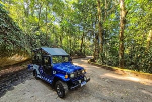 Jeep'n'Green: Rio Botanical Garden & Tijuca Rainforest Tour