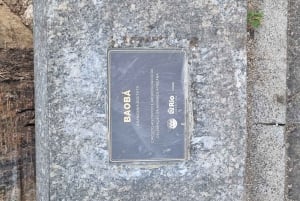 Little Africa - Walking tour from the passed to the future