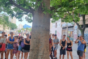 Little Africa - Walking tour from the passed to the future