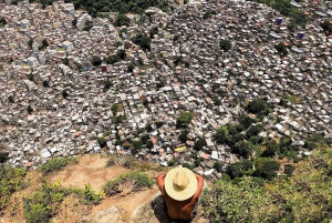 Morro Dois Irmãos Trail: Ipanema, Lagoa & Pedra da Gávea