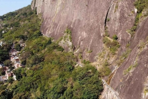 Morro Dois Irmãos Trail: Ipanema, Lagoa & Pedra da Gávea